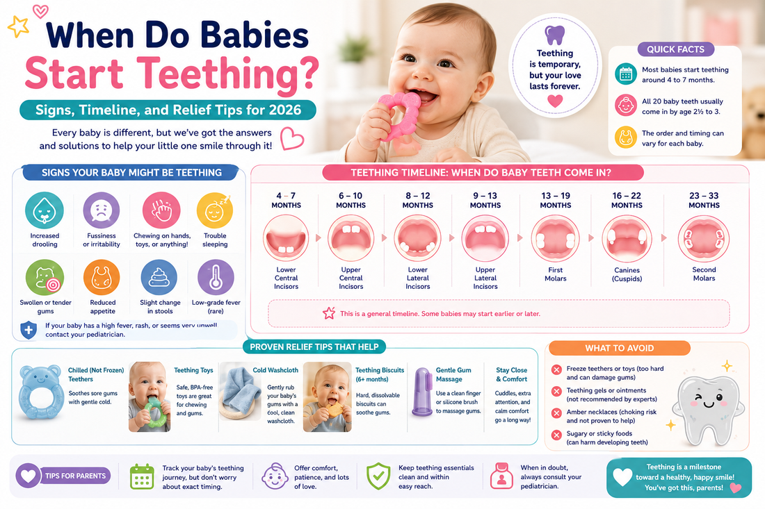 When Do Babies Start Teething? Signs, Timeline, and Relief Tips for 2026