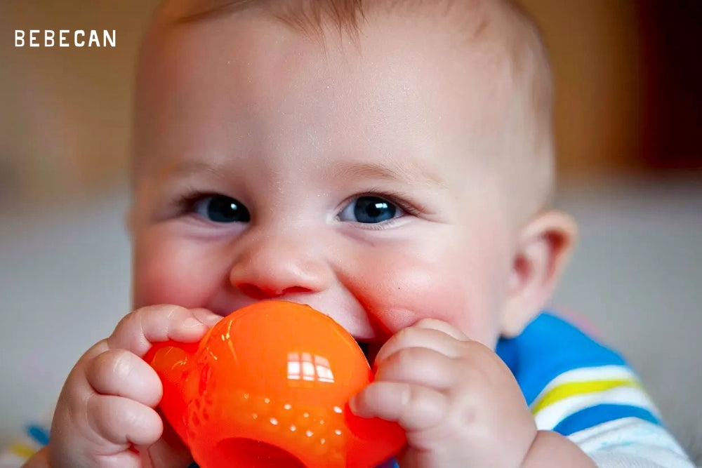 Teething Stages