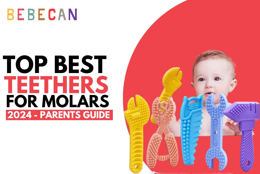 Top Best Teethers for Molars 2024 – Parents Guide